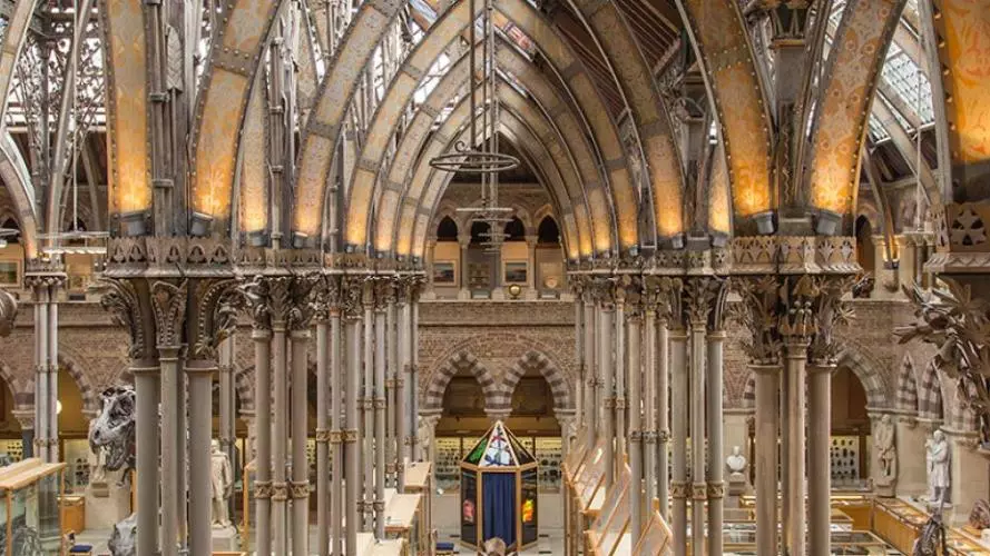nhm img 9400 lr